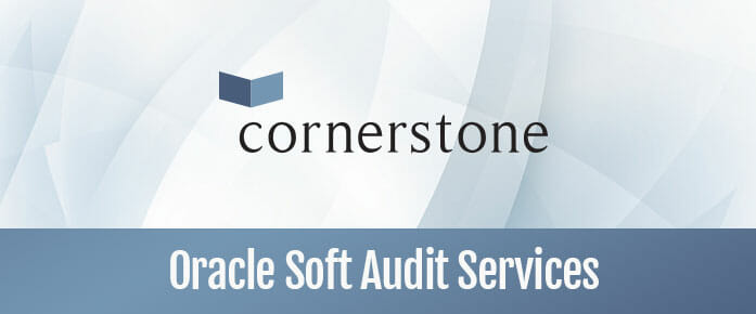 header-soft-audit