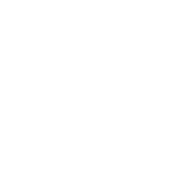 Secure-icon
