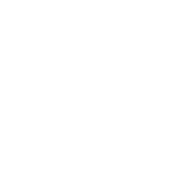 Secure-icon