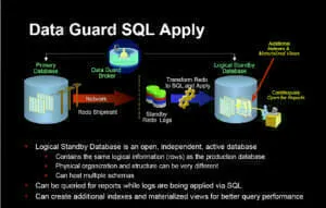 dg_log_apply-300x191